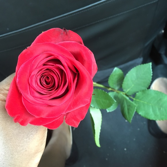 Meet your Posher, Mariah - Picture 1 of 1